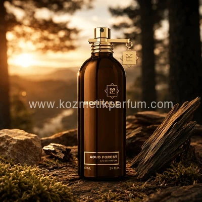 Montale Aoud Forest 100 ml Parfüm